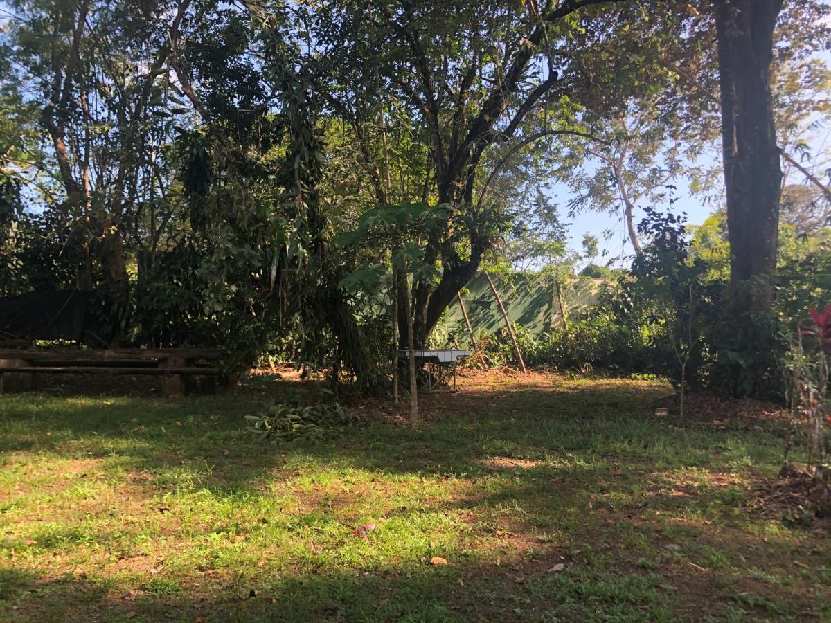 Chosa Manglar Suites & Cabins Puerto Jimenez Exterior photo