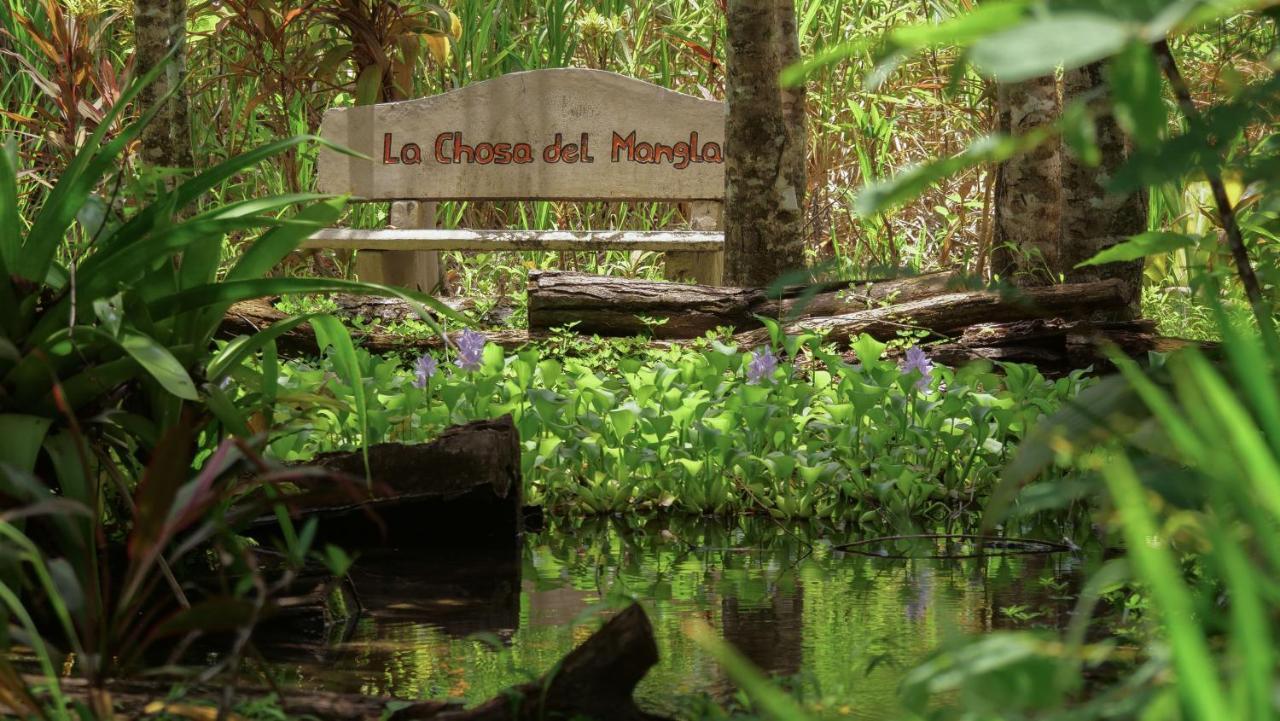 Chosa Manglar Suites & Cabins Puerto Jimenez Exterior photo