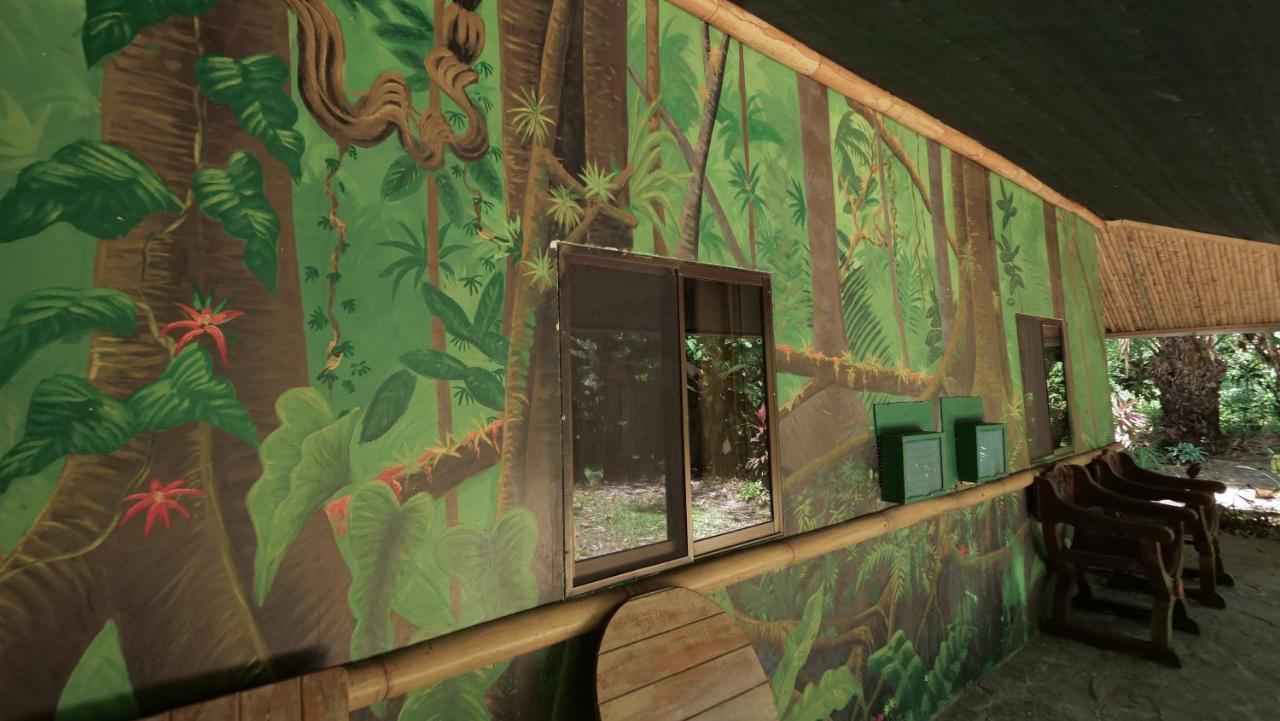 Chosa Manglar Suites & Cabins Puerto Jimenez Exterior photo